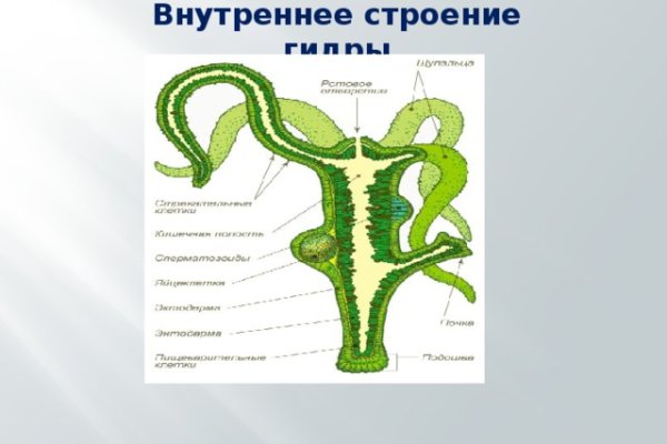 Как зайти через blacksprut bs2web top