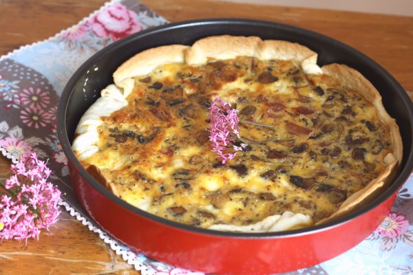 Black sprut onion ссылка